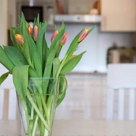 14 Boehler Brise Modern Retreat Prázdninový dům *